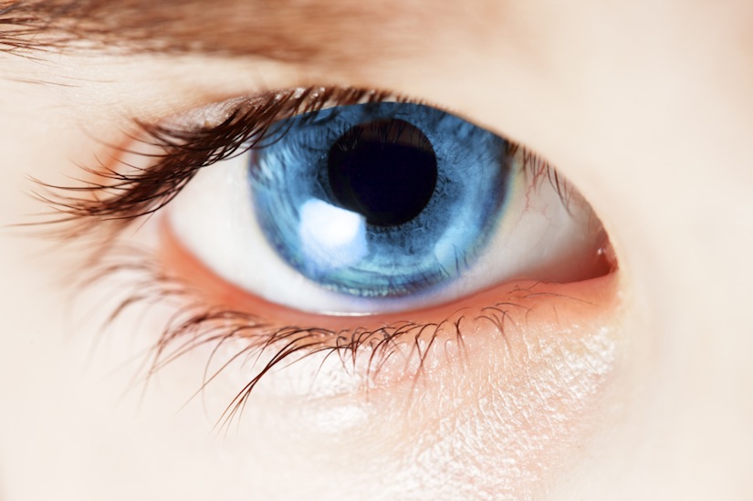 Complejidad irreducible Vida, Esperanza y Verdad