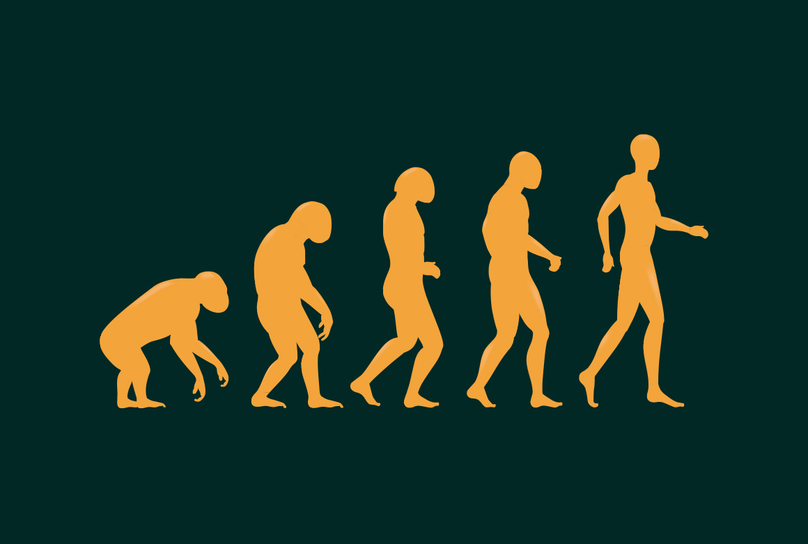 Эволюция видна. Синтетическая Эволюция Чарльза Дарвина. Теория Дарвина дарвинизм.