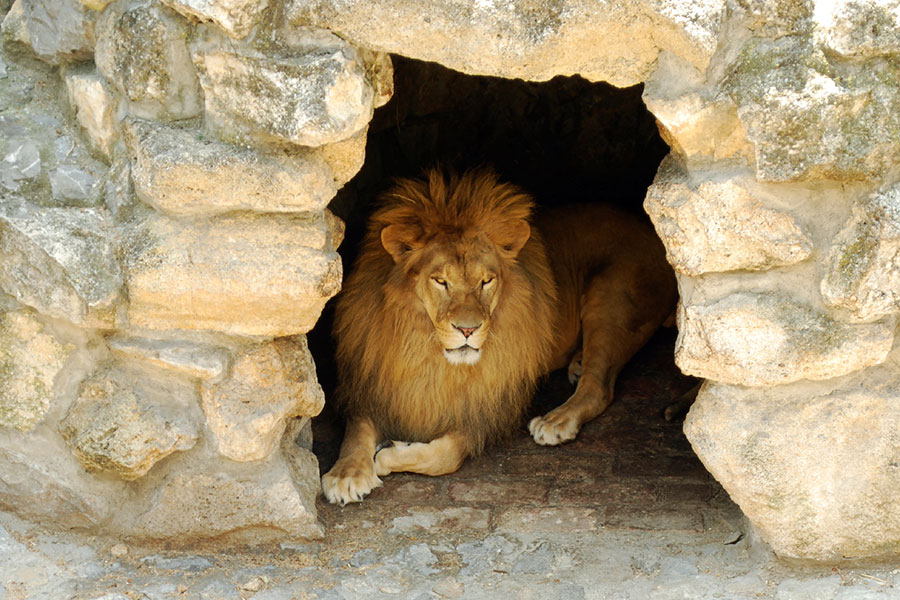 Daniel 6: Daniel en el foso de los leones
