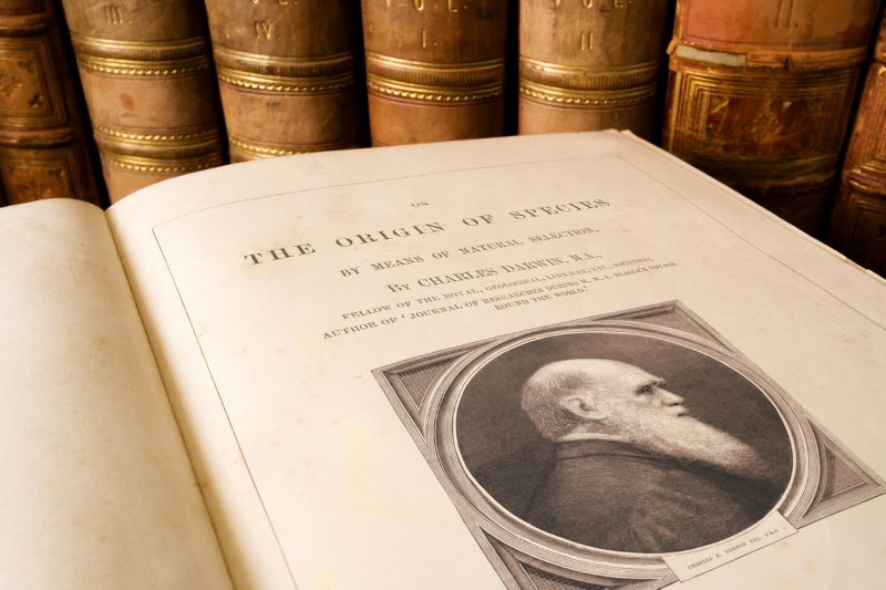 El libro de Charles Darwin pretend&iacute;a explicar la variedad de formas de vida, desde las m&aacute;s simples hasta las m&aacute;s complejas, por medio de procesos completamente naturales.