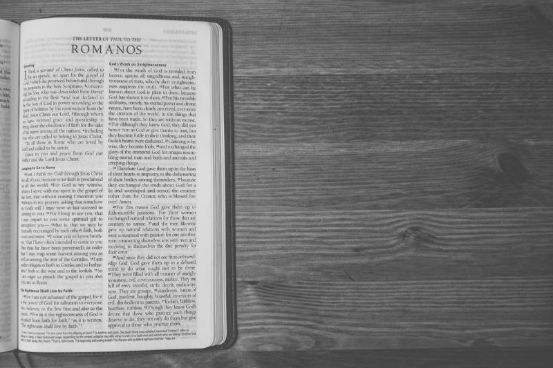 &ldquo;Porque las cosas invisibles de &eacute;l, su eterno poder y deidad, se hacen claramente visibles desde la creaci&oacute;n del mundo, siendo entendidas por medio de las cosas hechas, de modo que no tienen excusa&rdquo; (Romanos 1:20).
