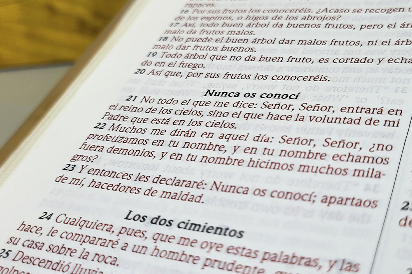 “No todo el que me dice Señor, Señor…”