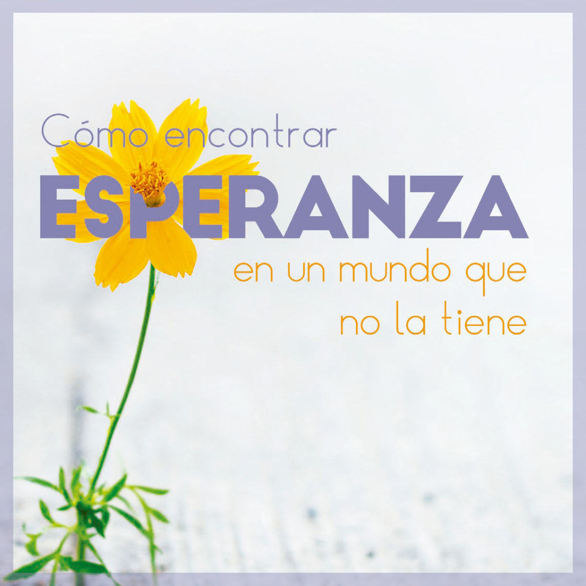 Cómo encontrar esperanza en un mundo que no la tiene