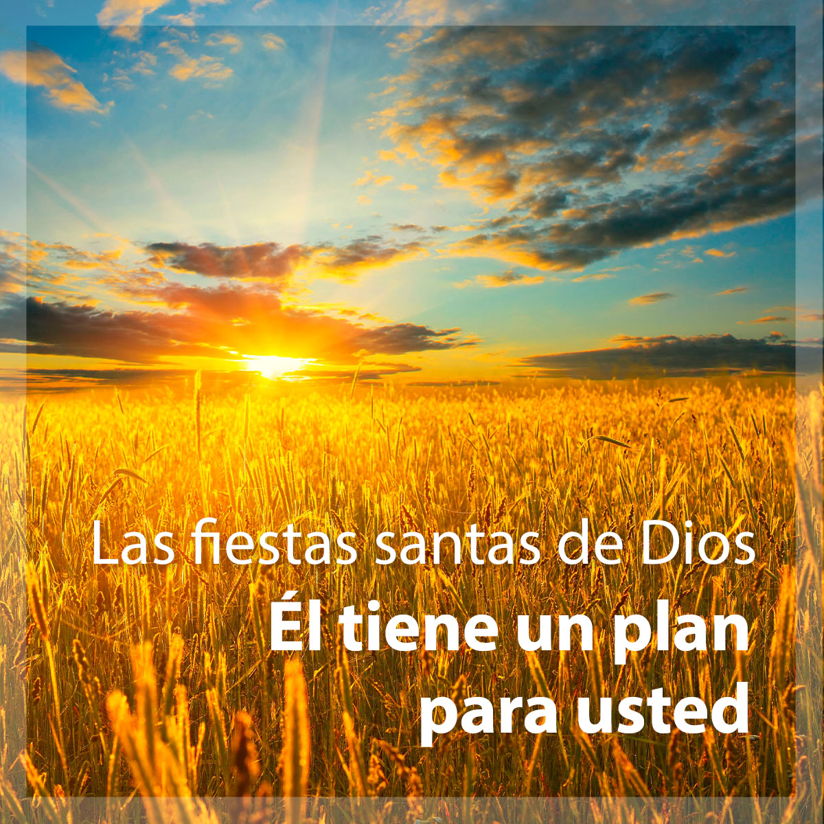 Las fiestas santas de Dios: Él tiene un plan para usted