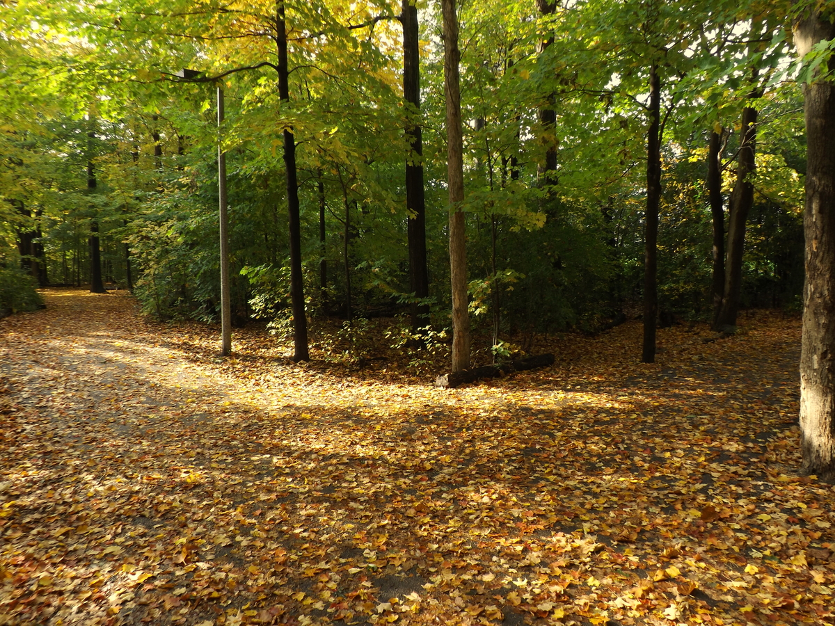 ¿Qué es la naturaleza humana?