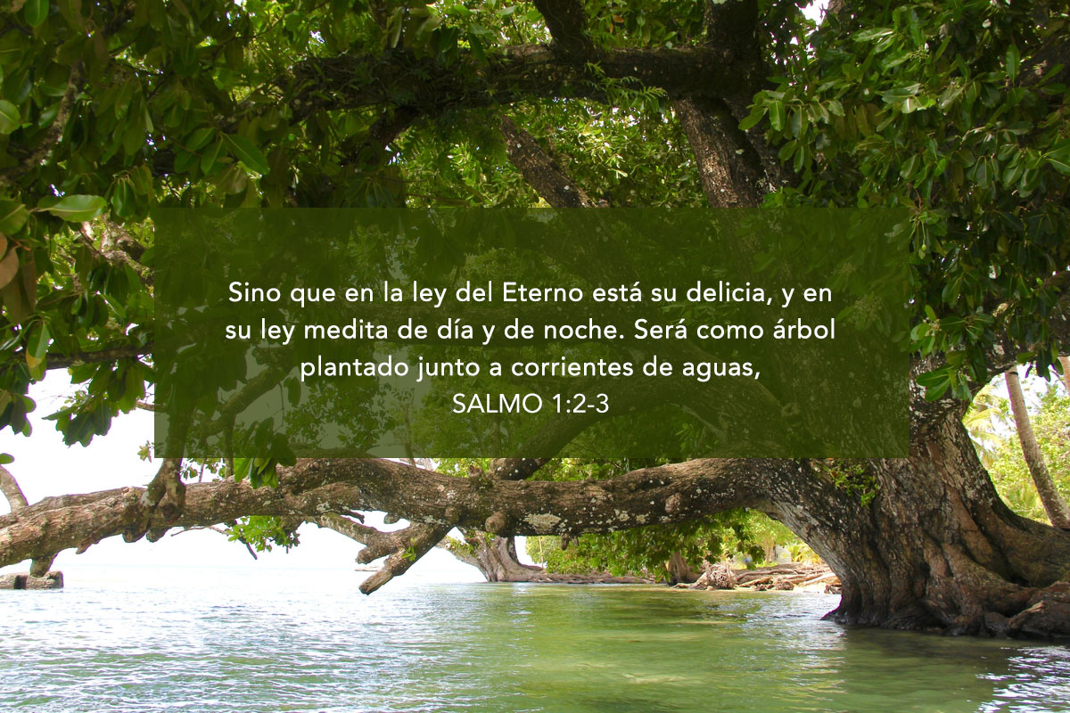 ¿Son gravosos sus mandamientos?