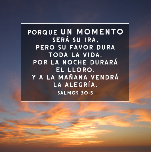 Featured image of post View 10 Condolencias Frases Biblicas De Consuelo Por Muerte