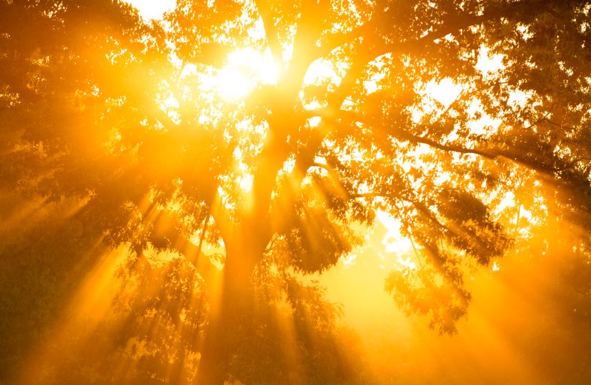 ¿Qué creían los apóstoles acerca de Dios?