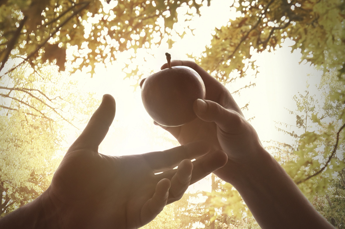 ¿“Bueno” sin Dios?