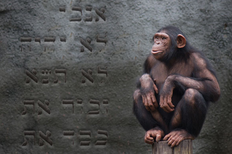 Creación vs. Evolución