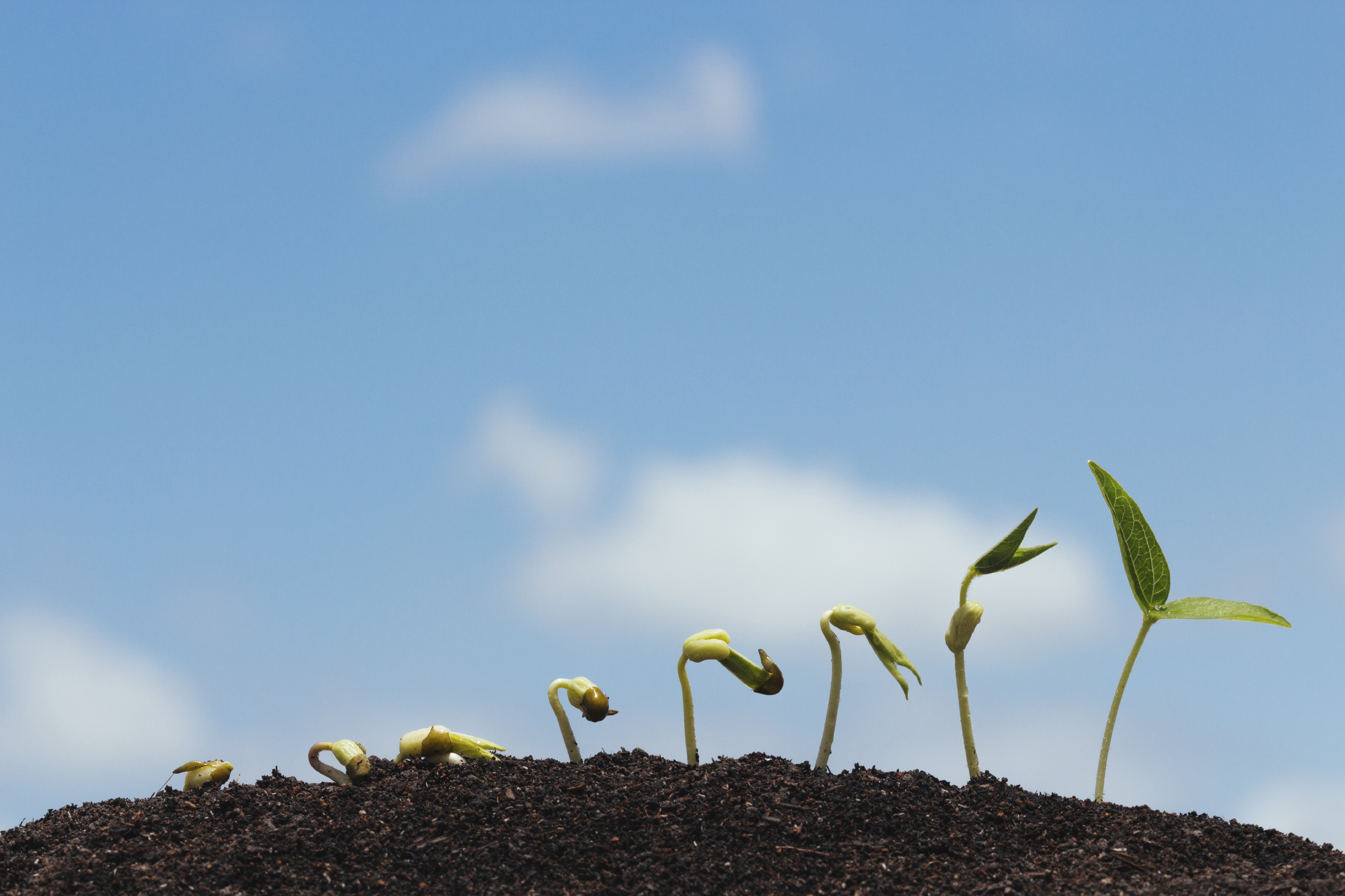 Muchos son llamados, y pocos escogidos