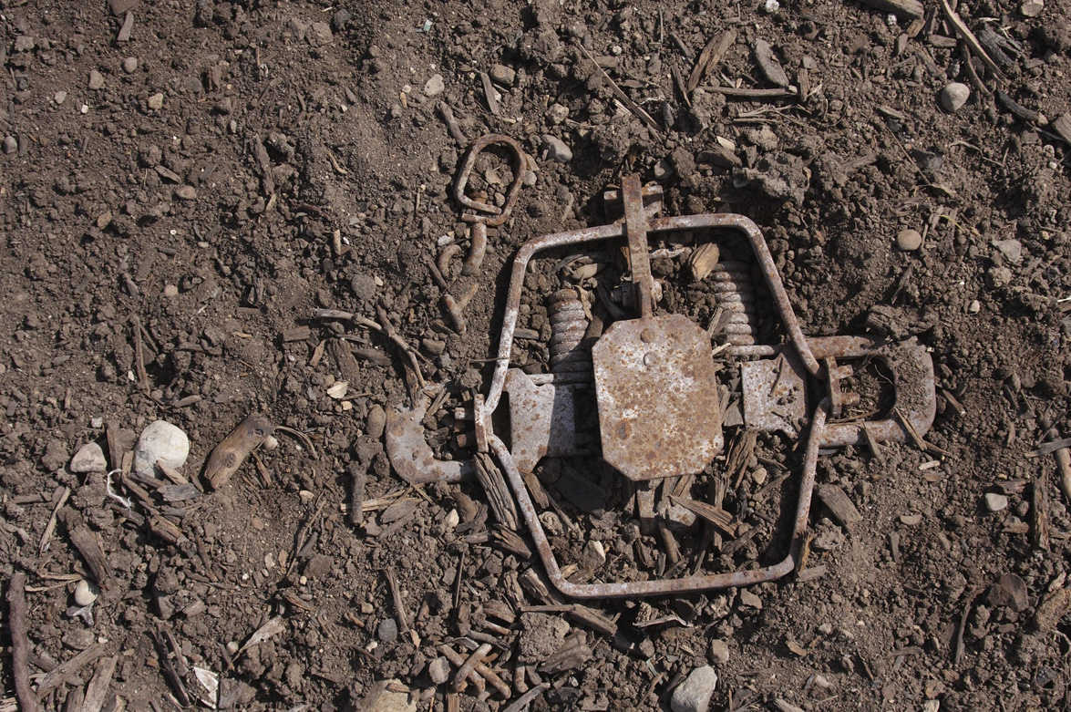 Cristianismo en progreso: Cómo no ser piedra de tropiezo