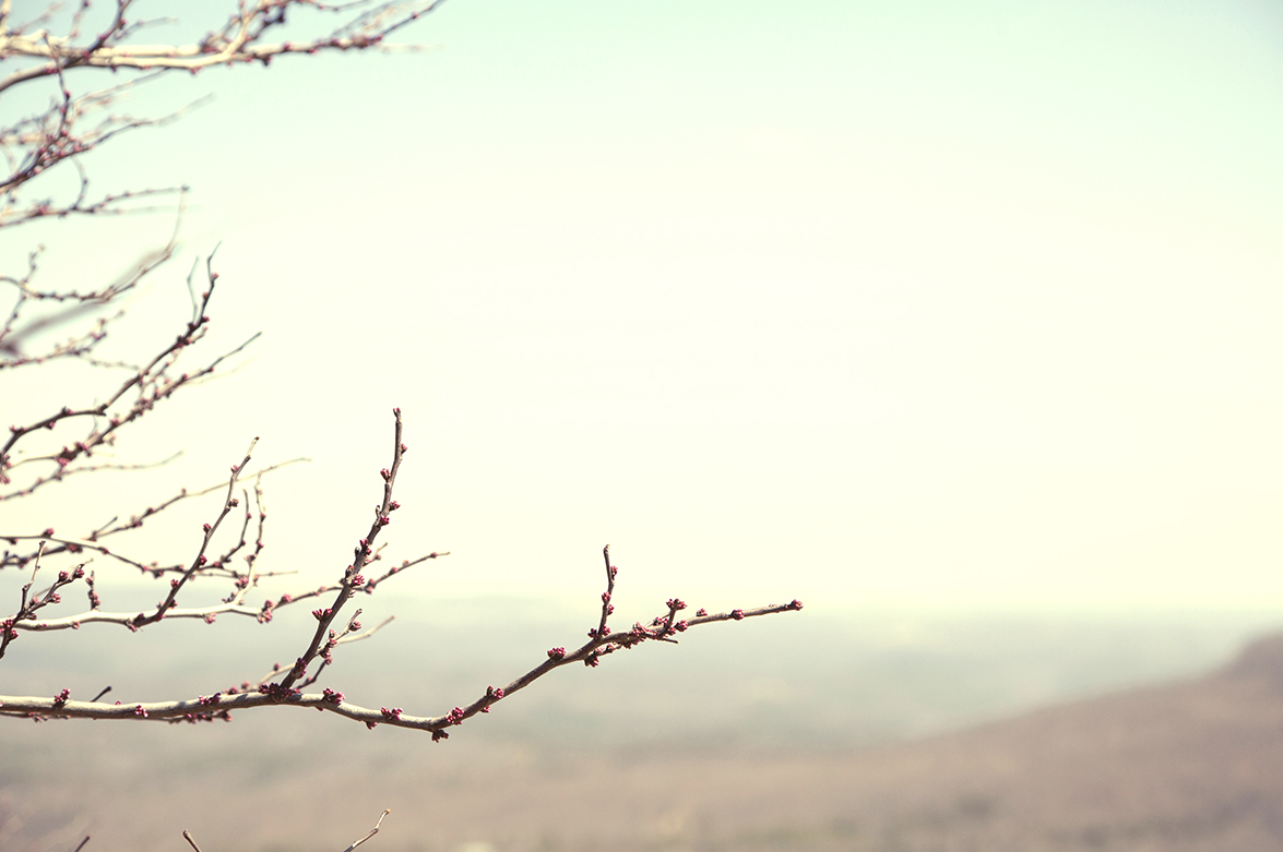 Reaprendiendo a vivir