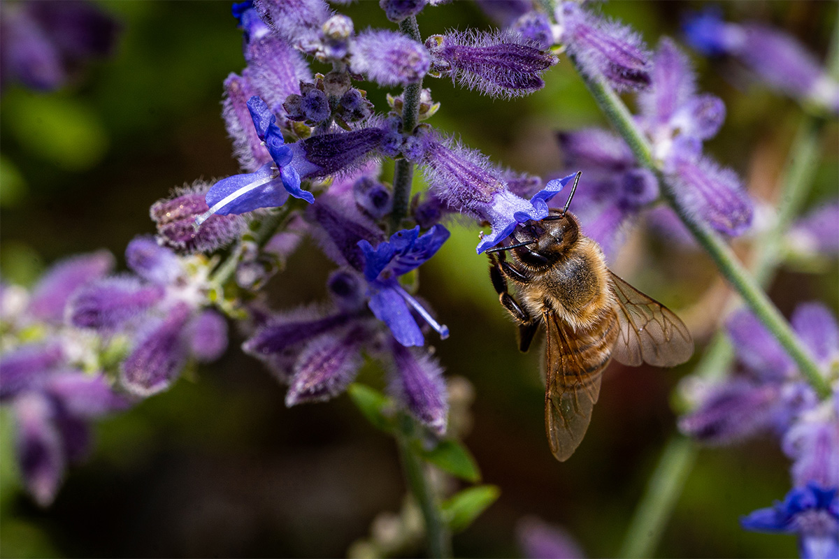 Tres razones para creer en Dios