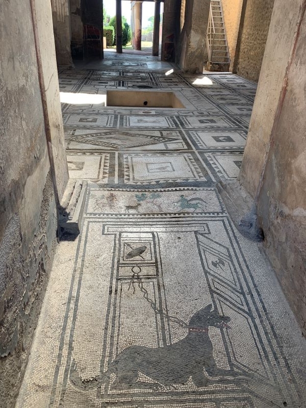 Mosaicos de suelo encontrados en Pompeya.