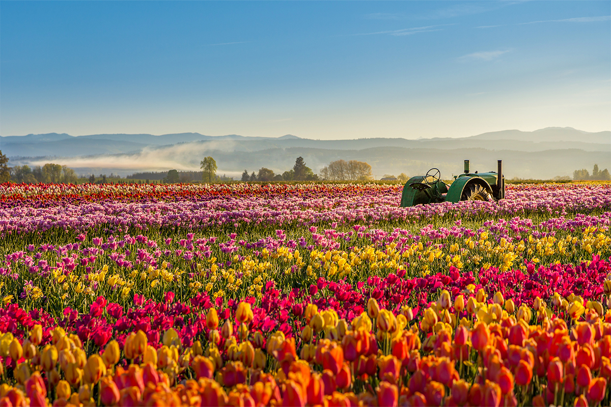 Debemos cuidar la creación de Dios