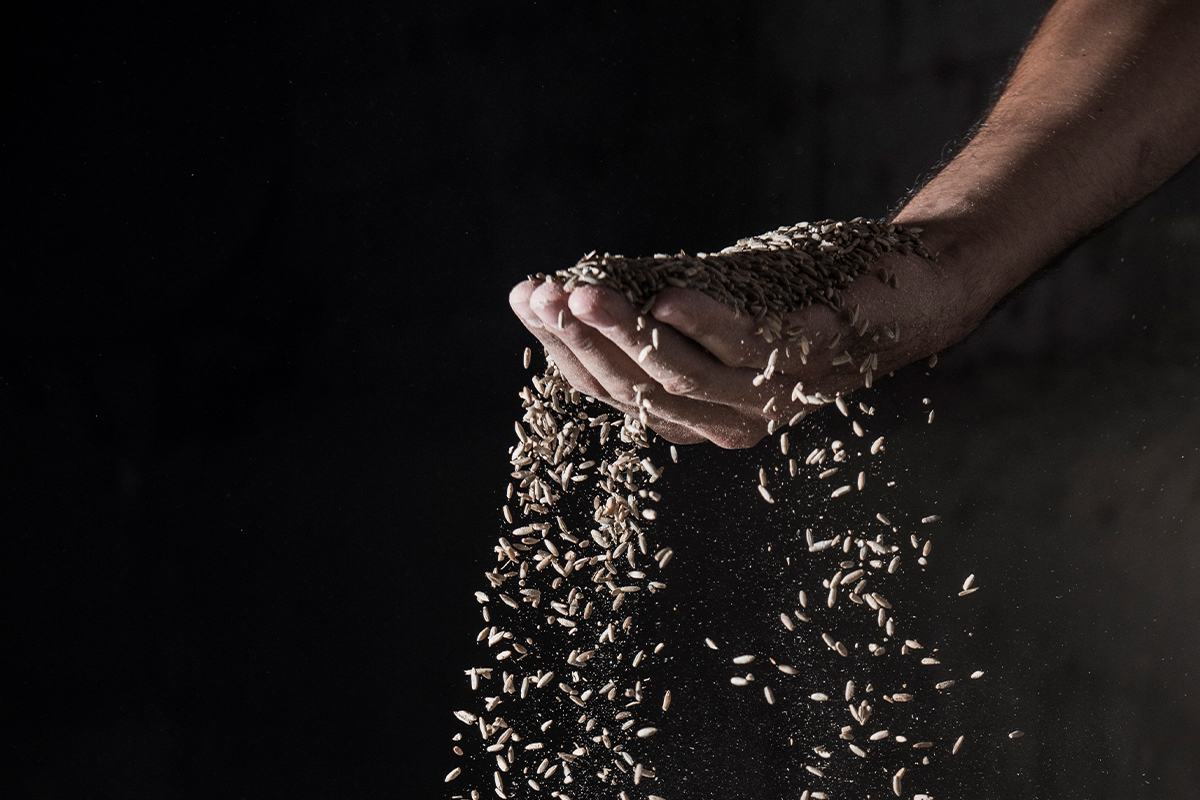 Lecciones de la parábola del rico necio