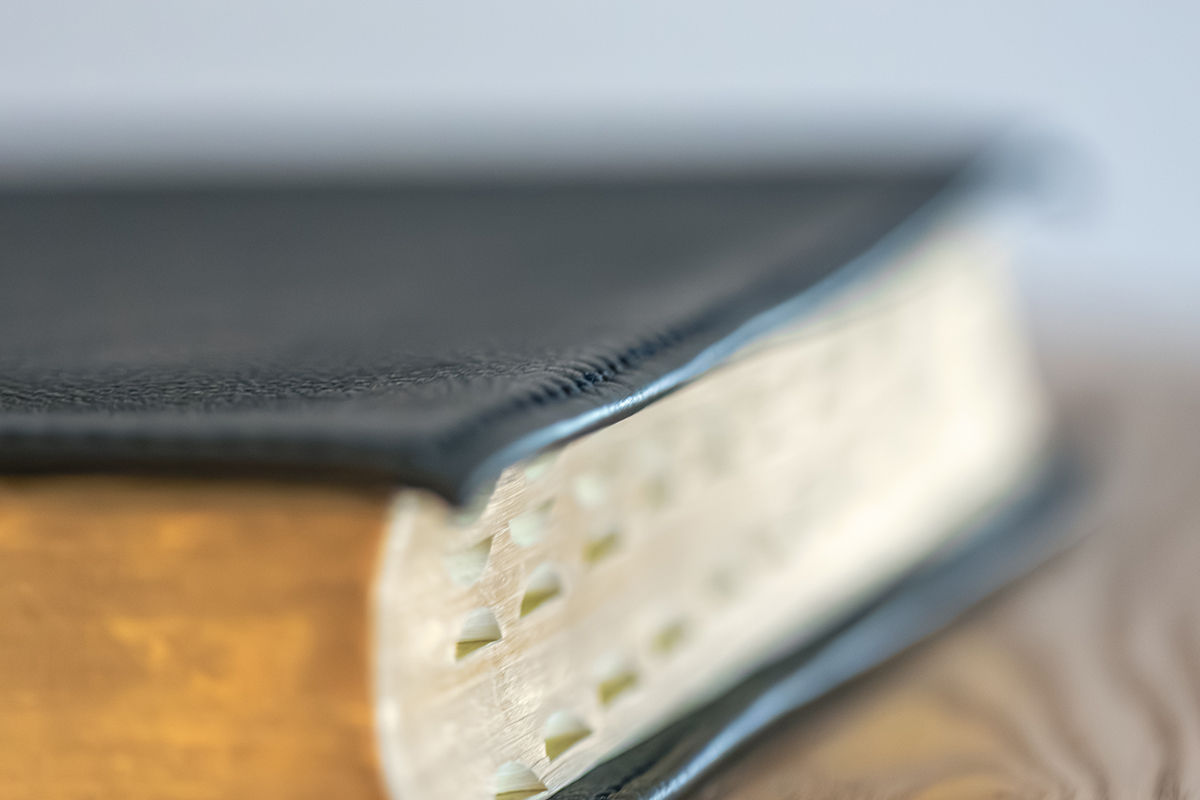 Lo que se pierde en la traducción: ¿Qué ocurre entre las páginas de su Biblia?
