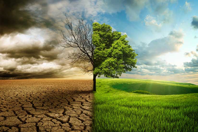 El agua en la profecía