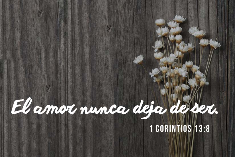 El capítulo del amor
