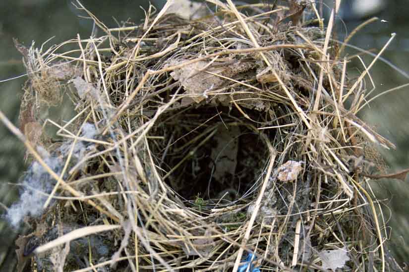 El día en que perdimos a nuestro bebé