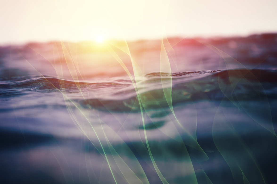 El milagro y el significado de Pentecostés