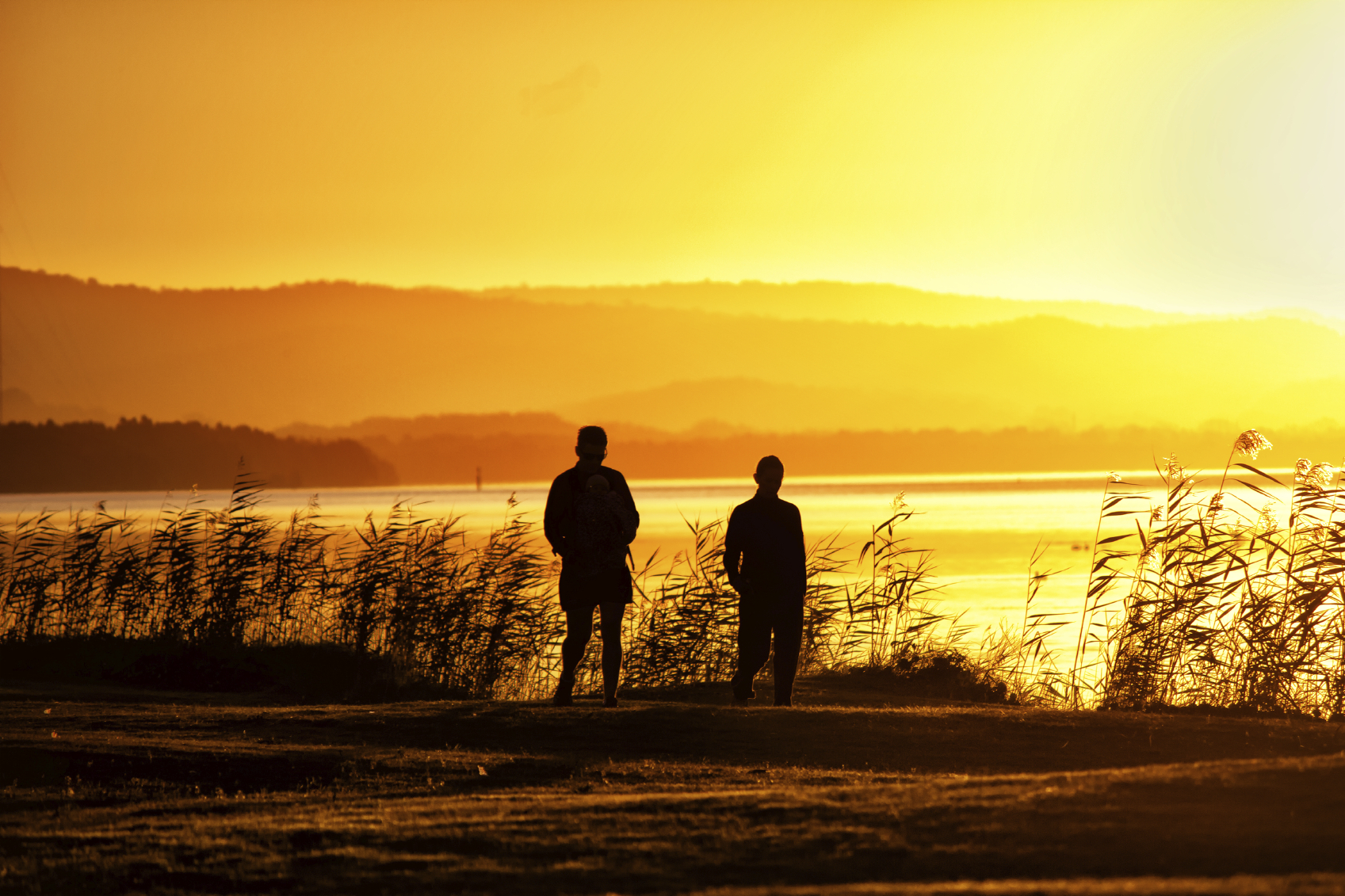 La transfiguración: ¿qué sucedió?
