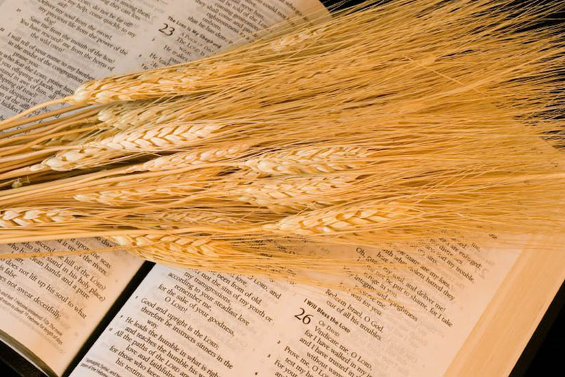 Las festividades cristianas