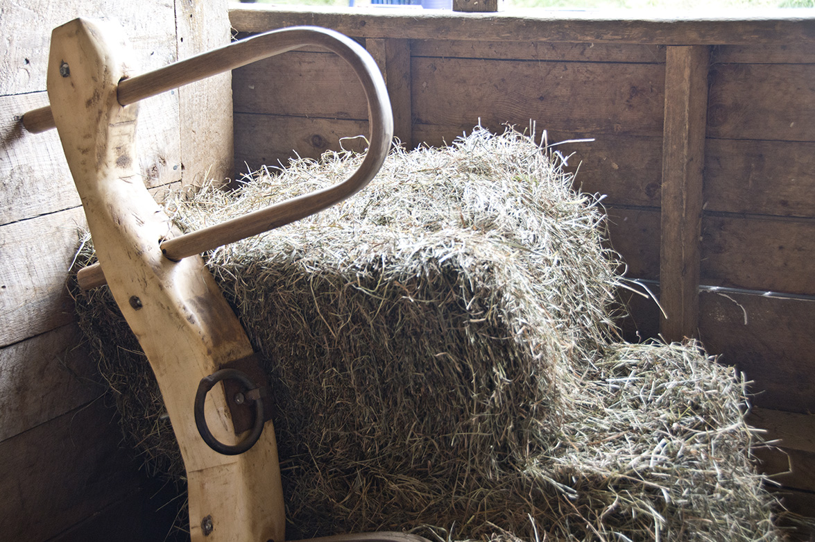 “Mi yugo es fácil”: ser cristiano es ¿fácil o difícil?