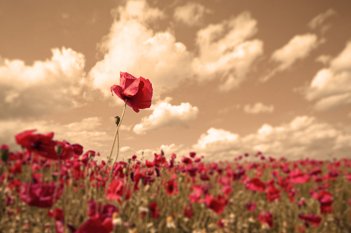 “Ninguna buena obra queda impune”