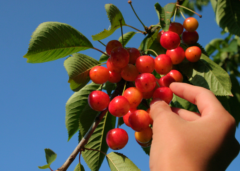 Pentecostés: Dios da su Espíritu Santo