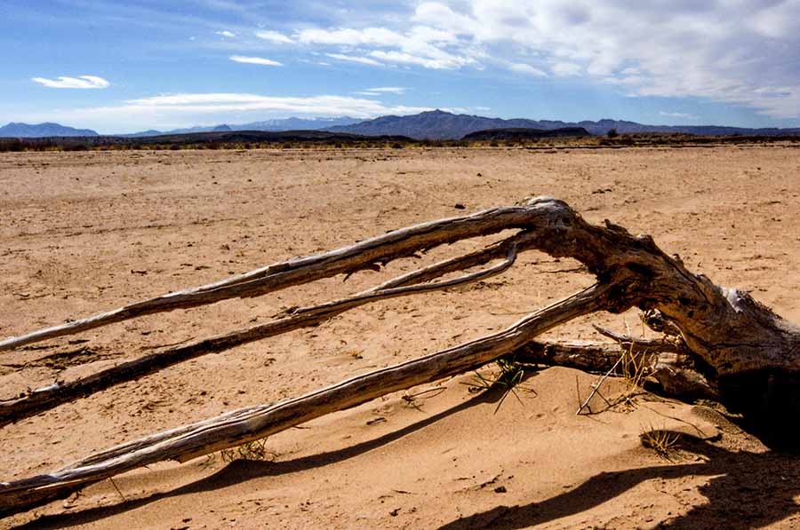 Problemas con el agua