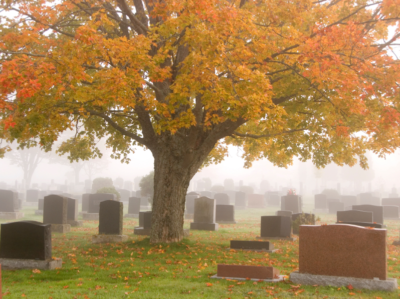 Resurrecciones: ¿qué son?